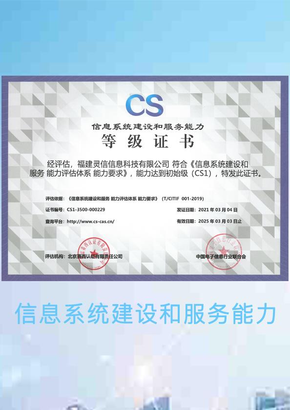 信息系統(tǒng)建設(shè)和服務能力